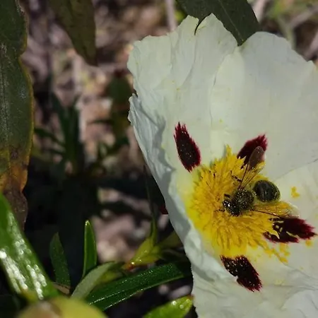 O Palheiro - Vista Panoramica E Jacuzzi
