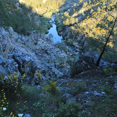 O Palheiro - Vista Panoramica E Jacuzzi Sobreira Formosa