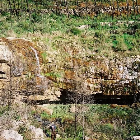 O Palheiro - Vista Panoramica, Jacuzzi E Piscina Sobreira Formosa