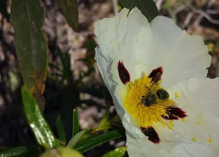 O Palheiro - Vista Panoramica E Jacuzzi