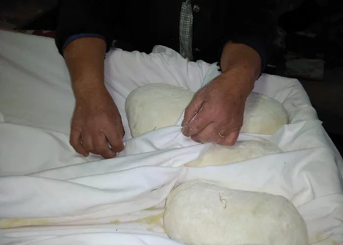 カントリーハウス O Palheiro - Vista Panoramica E Jacuzzi Sobreira Formosa